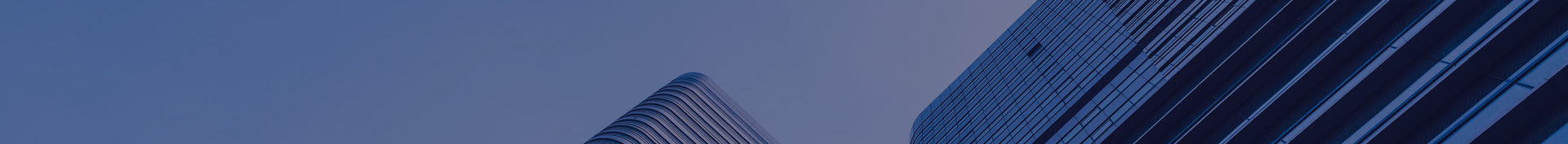 技術(shù)服務(wù)及整合力